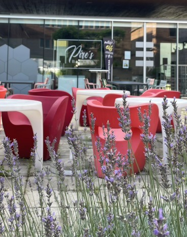 Pires Bistro Reininghausstraße Graz